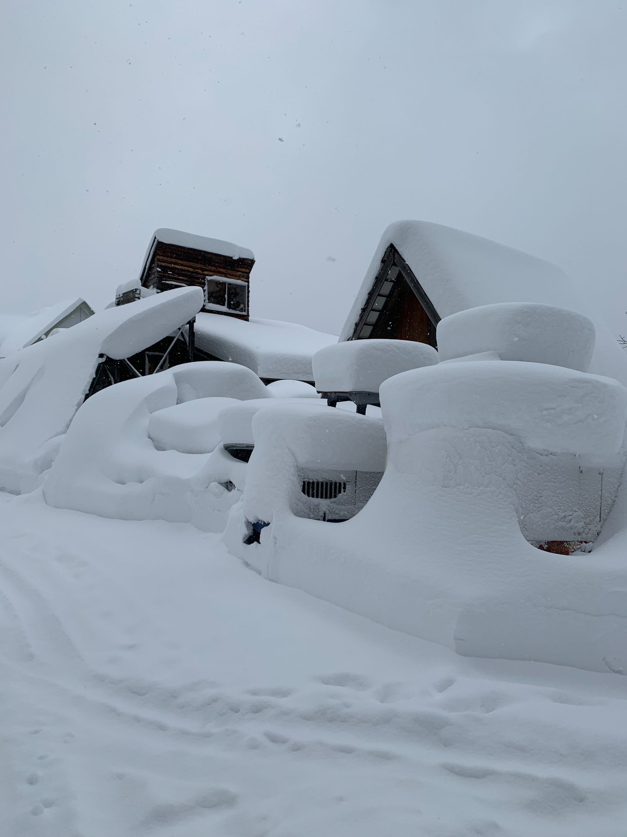 Chalet roofs and parked cars buried under deep snow during a storm